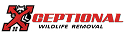Centreville Wildlife Removal